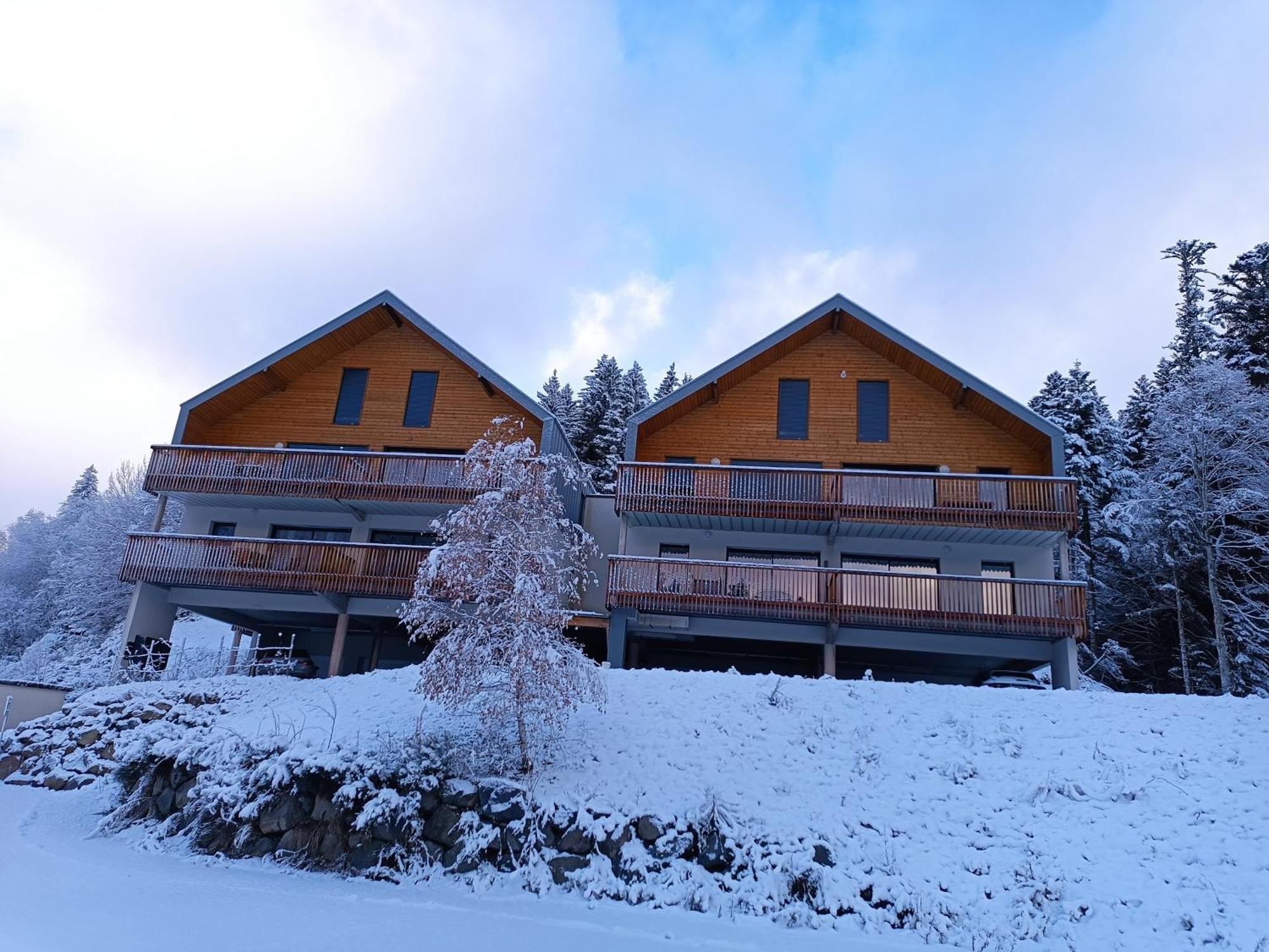 Appartement Le Pajot - Appt Pour 6 Proche Pistes à Laveissière Extérieur photo
